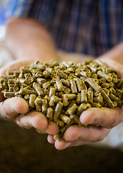 星空体育在线官方vip:18人禁用看尿口进口V2