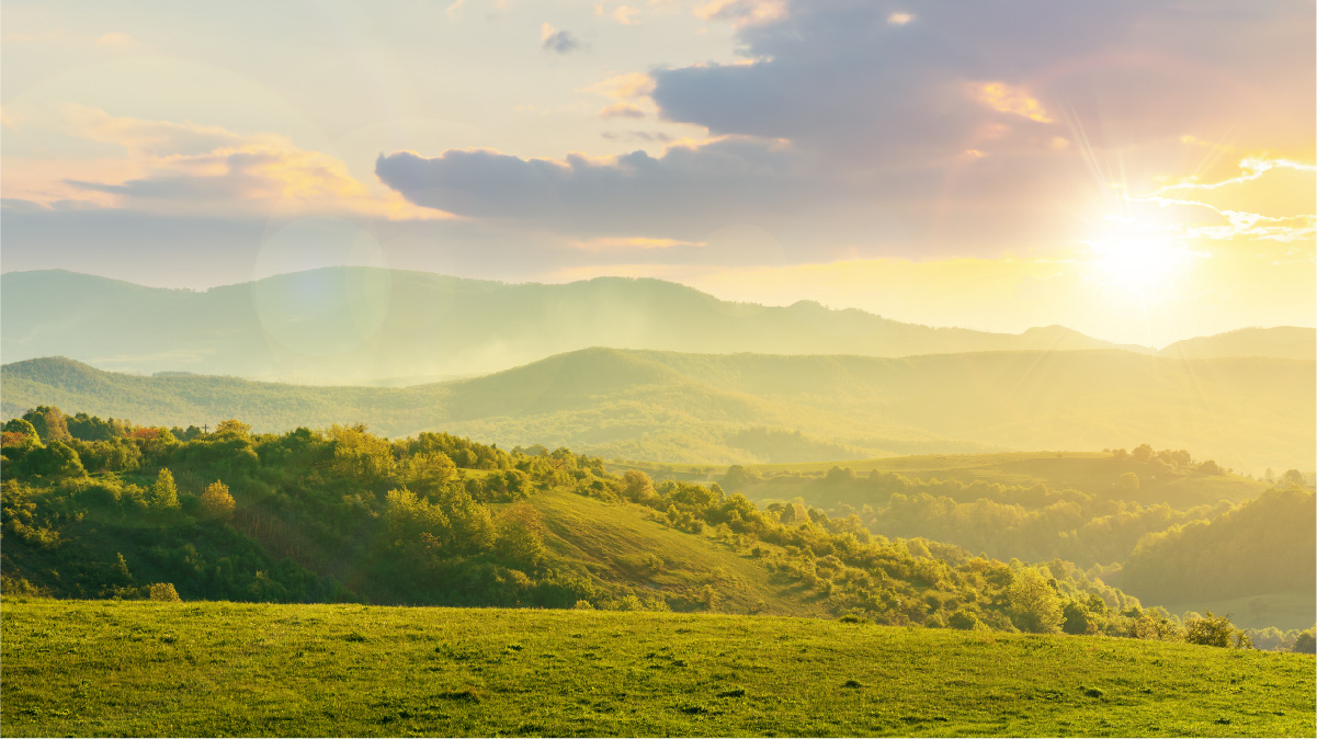 星空体育在线官方vip