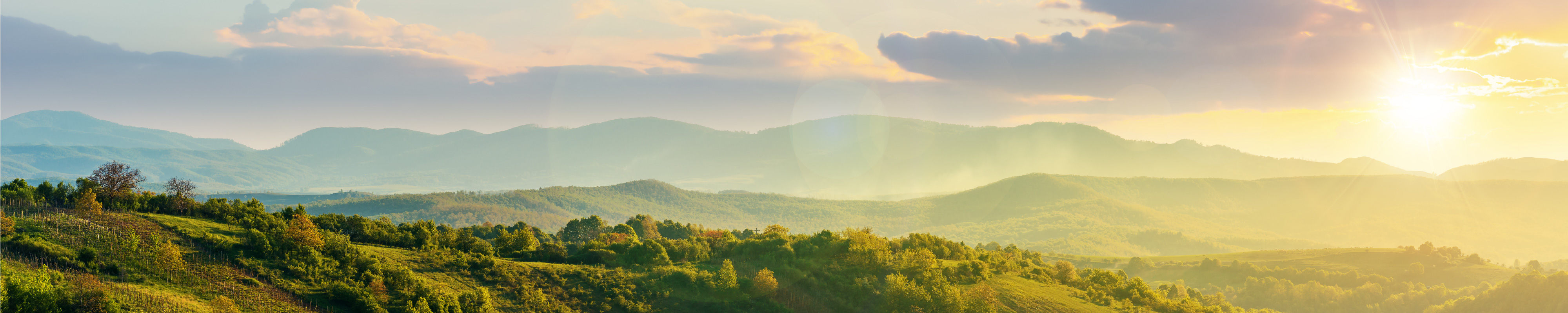 星空体育在线官方vip